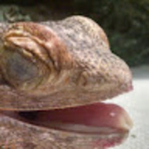 Meet your Posher, Jay